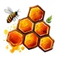 Propolis