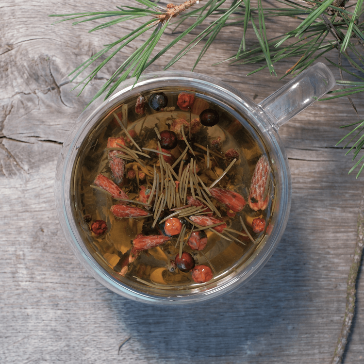 Esencja Lasu - aromatyczna herbata leśna