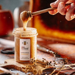 Miód piernikowy - nektarowy, wielokwiatowy 260g
